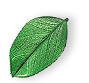 https://ecolohaus.com/wp-content/uploads/2025/07/floating_leaf_01.png