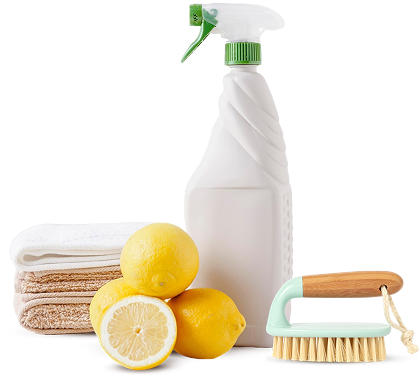 https://ecolohaus.com/wp-content/uploads/2025/08/shop_image.png